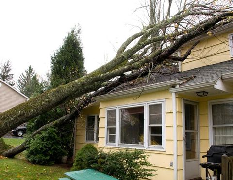 A House Damaged By A Falling Tree — Hugo, MN — Titan Exteriors