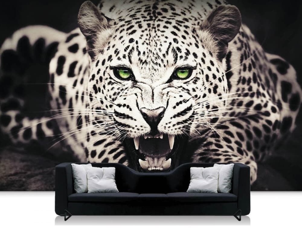 Wall Art -  Graphic Designer in Wagga Wagga, NSW