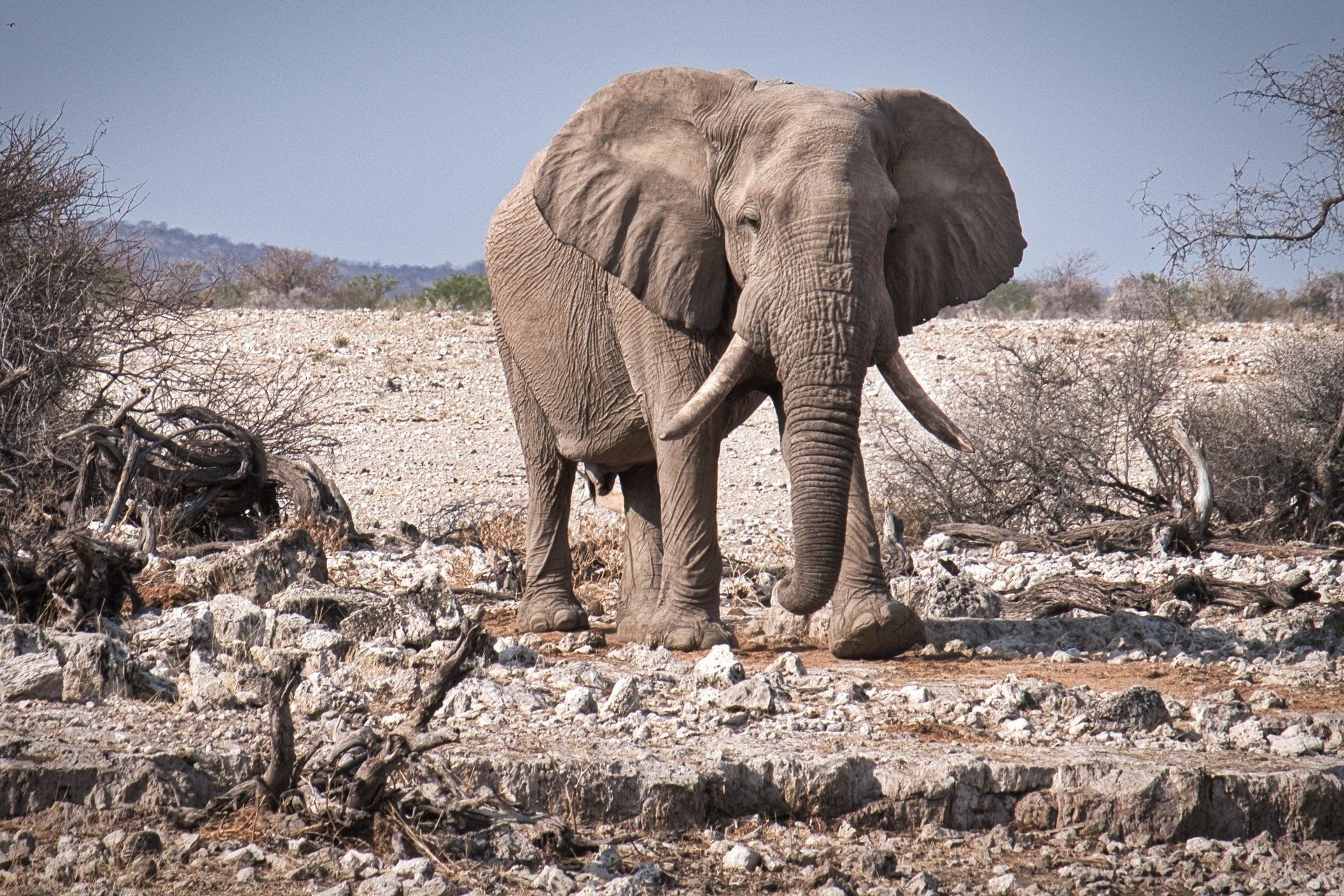 Agent Zone-Namibia