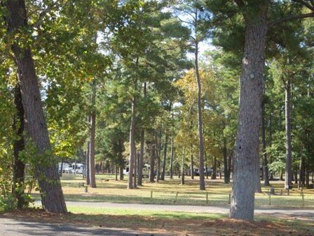 Camground | Marina Village Resort