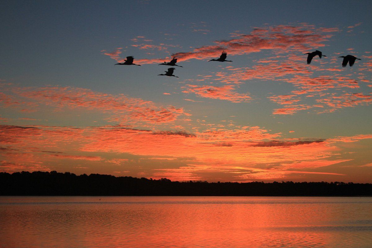 Westwood Shores Sunrises and Sunsets