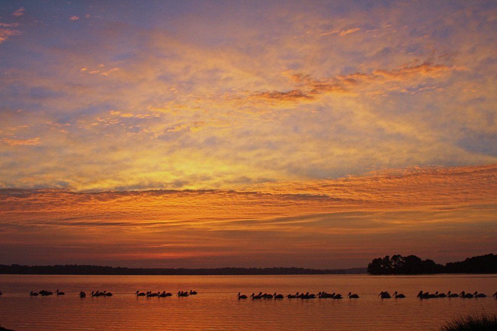Westwood Shores Sunrises and Sunsets
