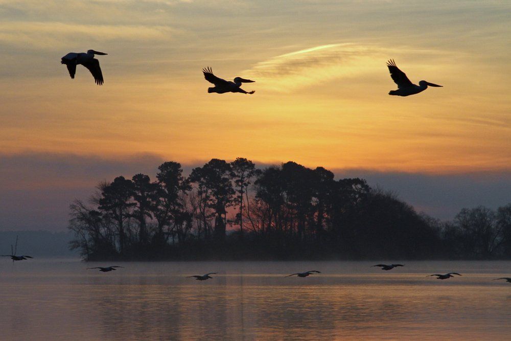 Westwood Shores Sunrises and Sunsets