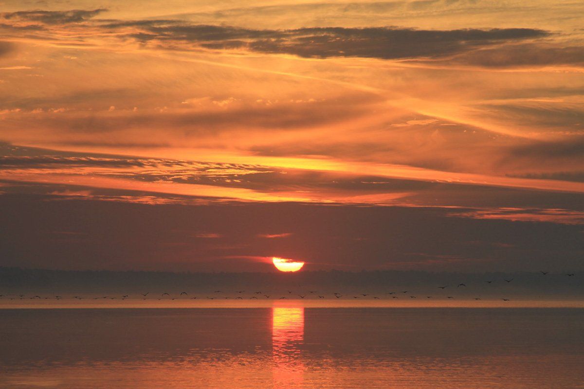 Westwood Shores Sunrises and Sunsets