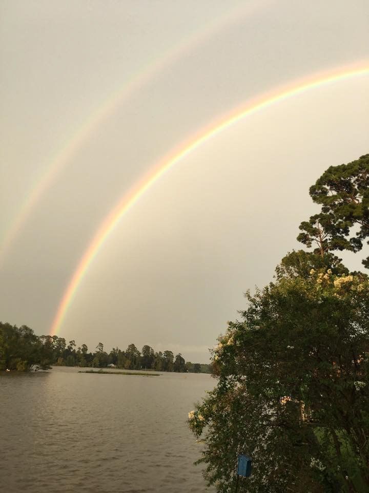 Westwood Shores Rainbow