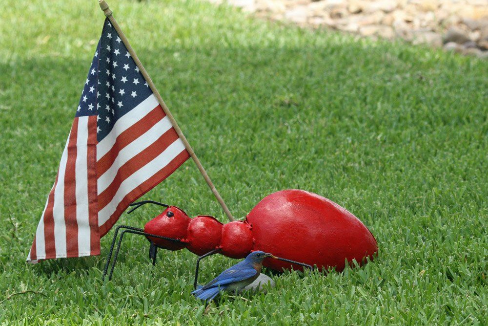 Westwood Shores Wildlife