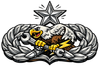 A silver insignia of an eagle holding a wrench, with a star above a wreath.
