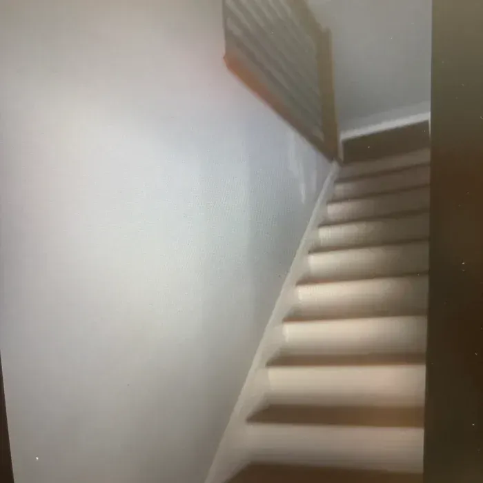 A set of carpeted stairs with white risers ascending to the right against a plain white wall.