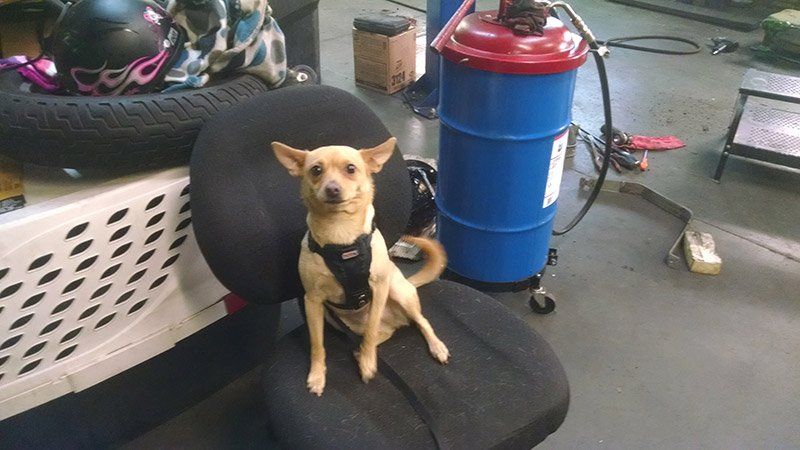 Our Guest for the Day