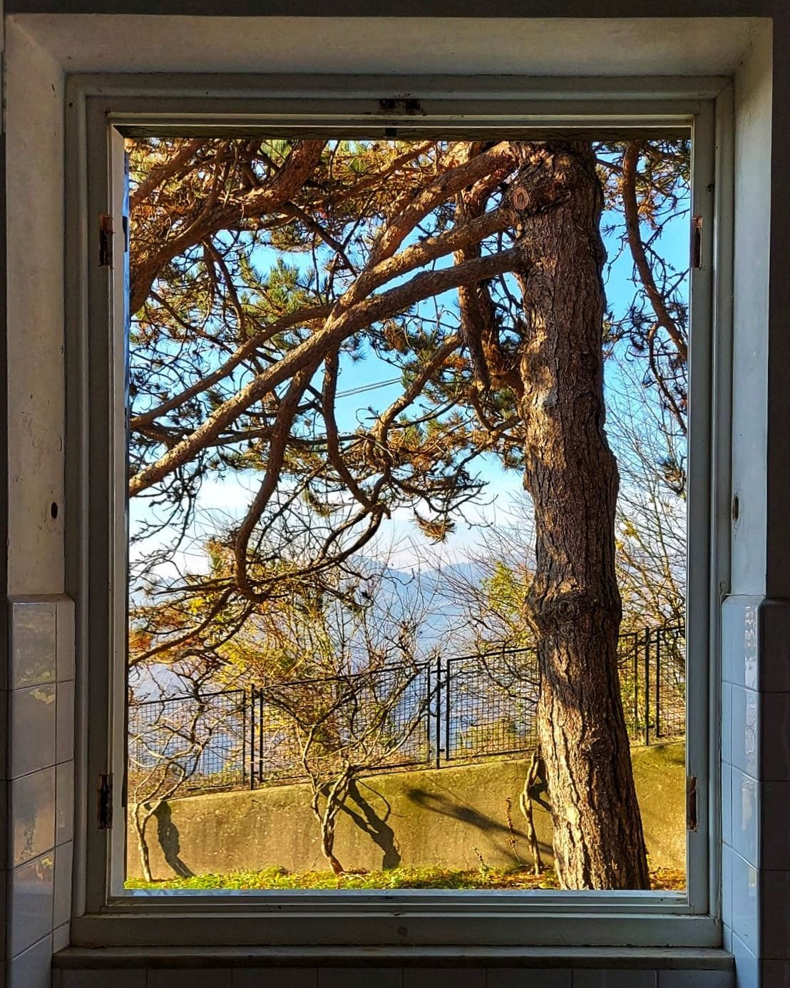 installazione finestre Genova