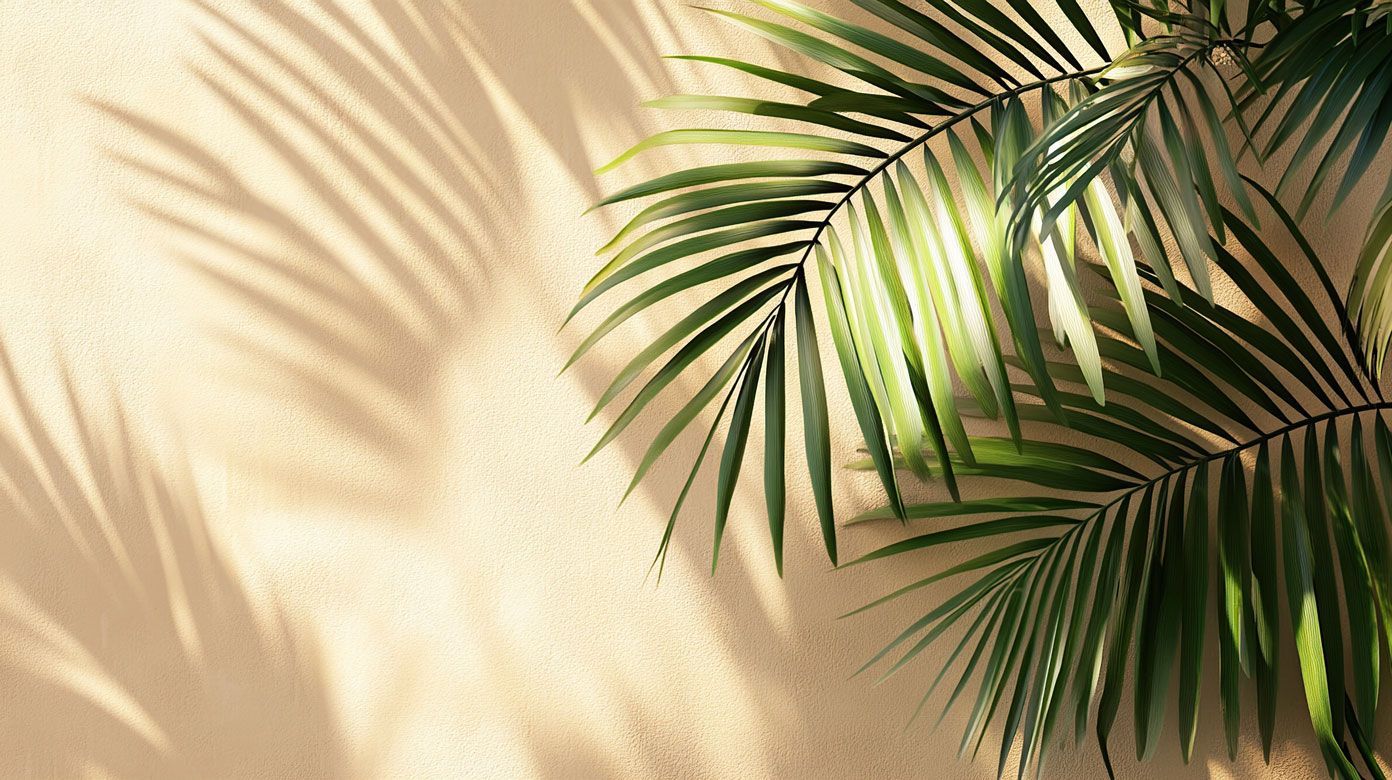 A palm tree leaves cast a shadow on a wall.