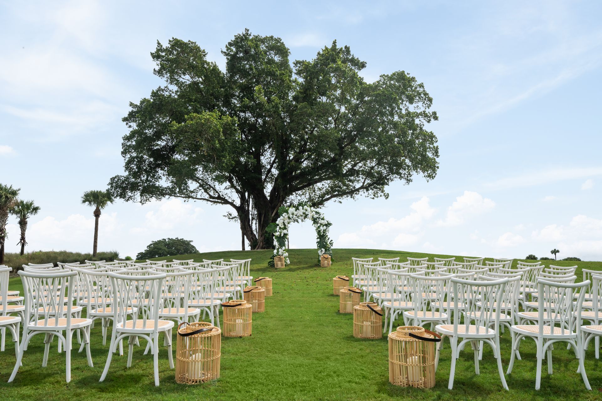 Our Story Rows of white chairs are lined up in a grassy field with a tree in the background.