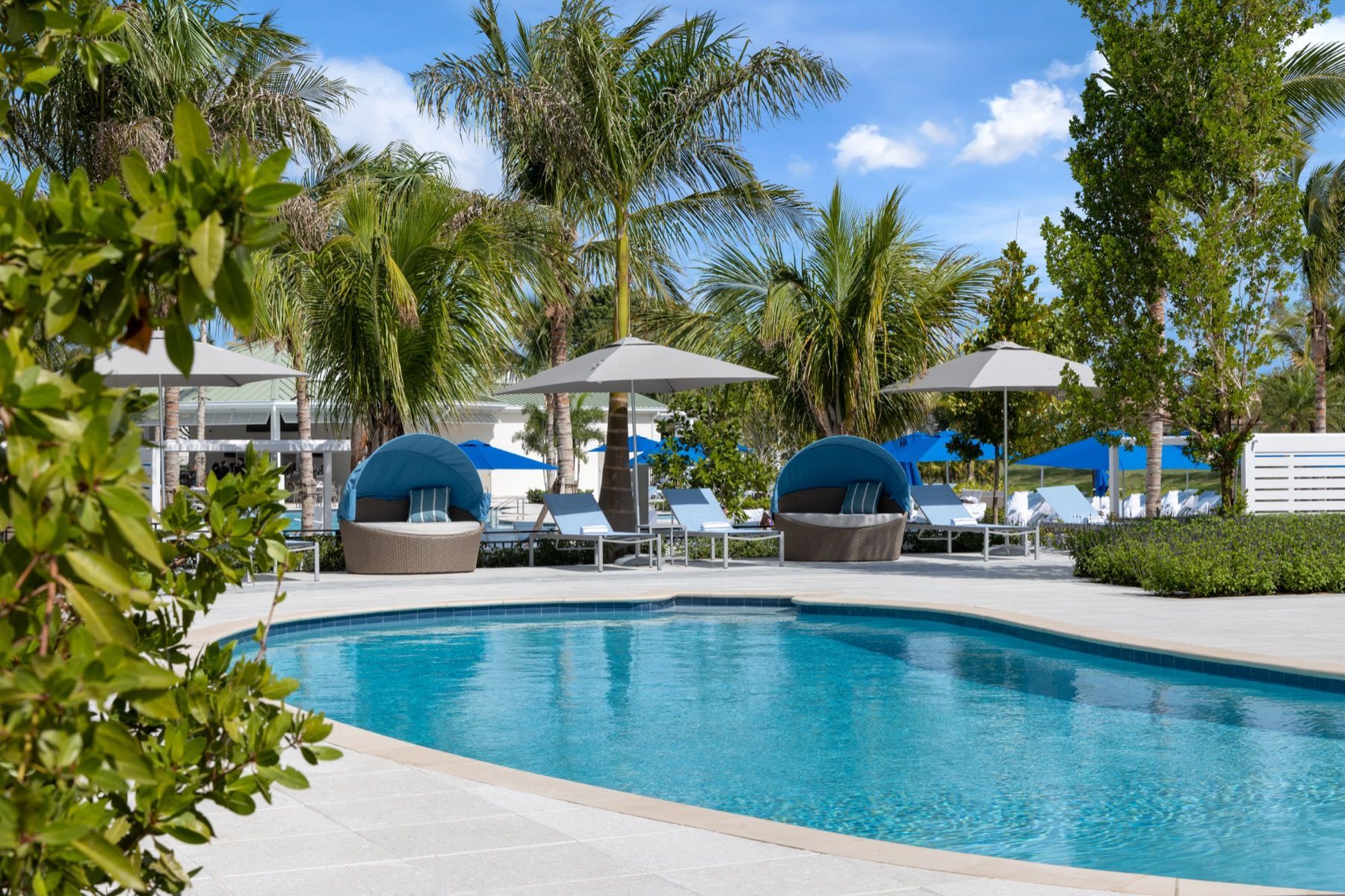 A large swimming pool surrounded by palm trees and umbrellas