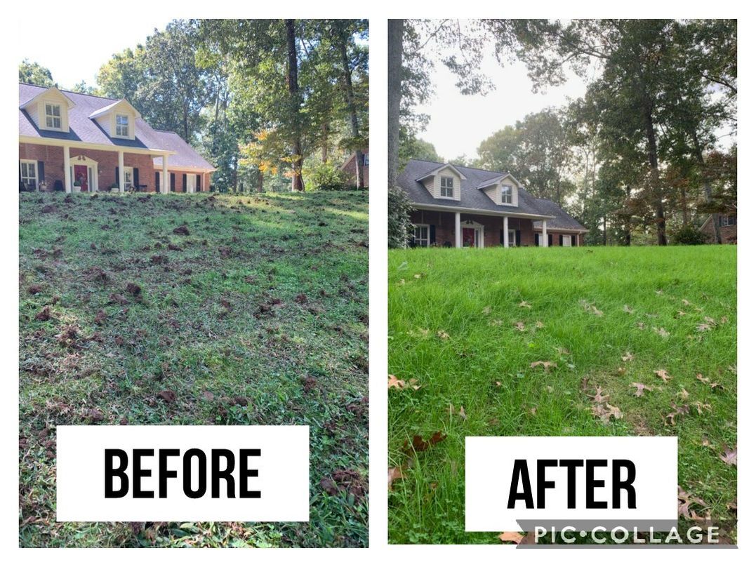 Before/after view of a house on a hillside lawn: before, patchy grass; after, lush, green grass.
