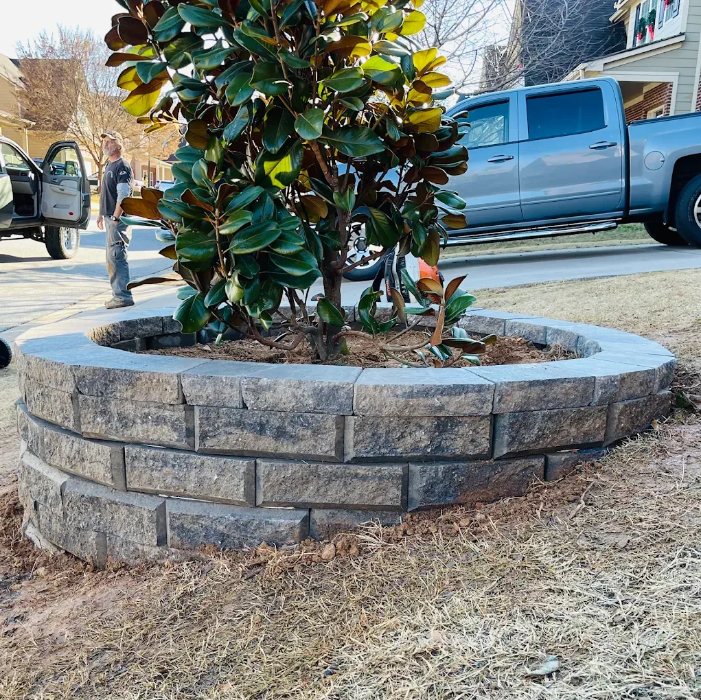 Circular retaining wall around a tree, with person and truck in background.