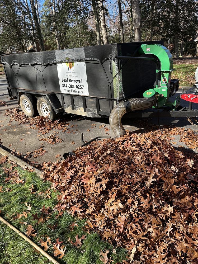 Leaf vacuum connected to a trailer, sucking up fallen leaves on a driveway and grass.