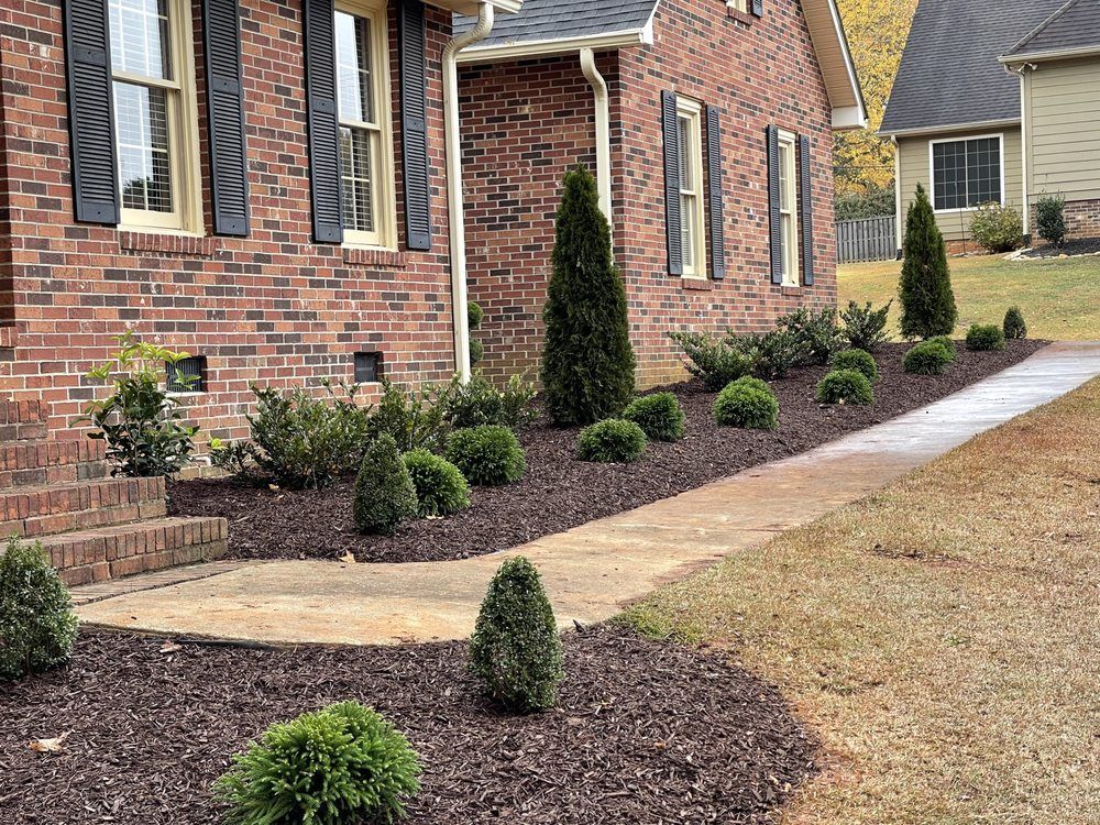Brick house with a landscaped front yard featuring shrubs, cedar trees, and a walkway.