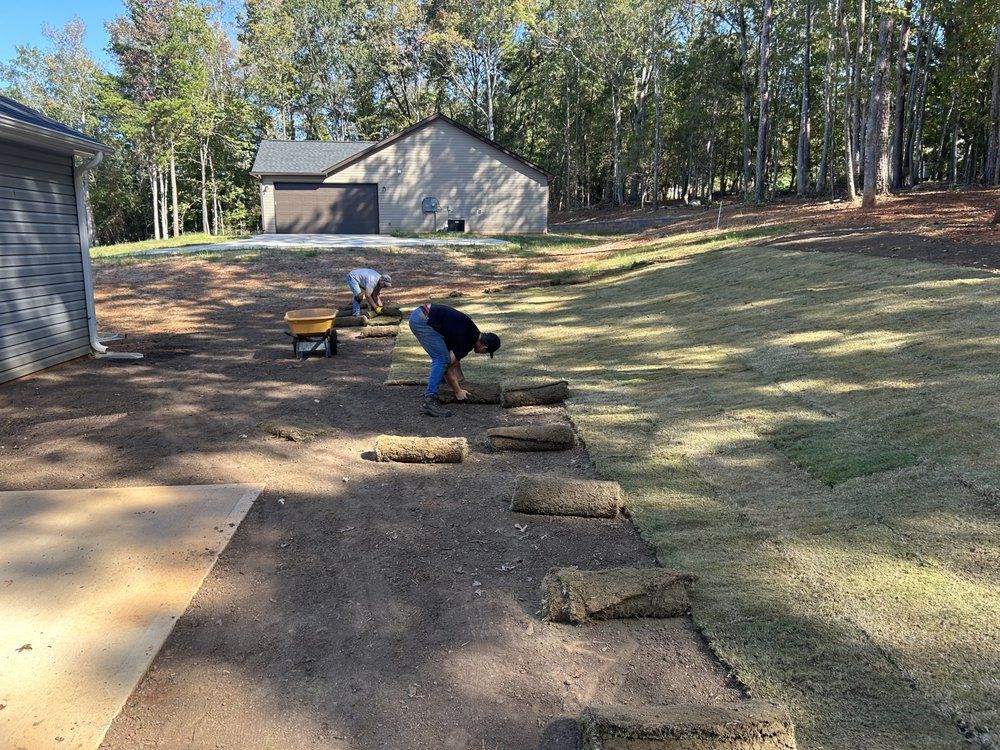 People laying sod in a backyard near a shed and trees. Rolls of sod on a prepared ground.