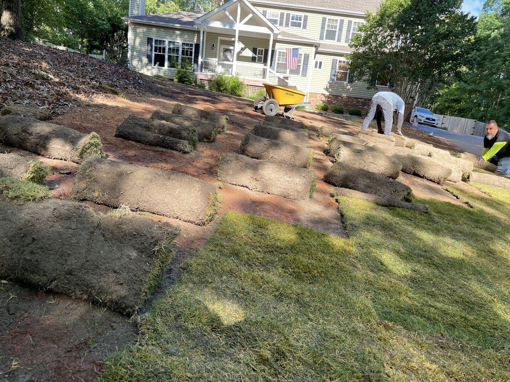 Workers installing sod on a sloped yard near a house. Rolled sod pieces are laid out.