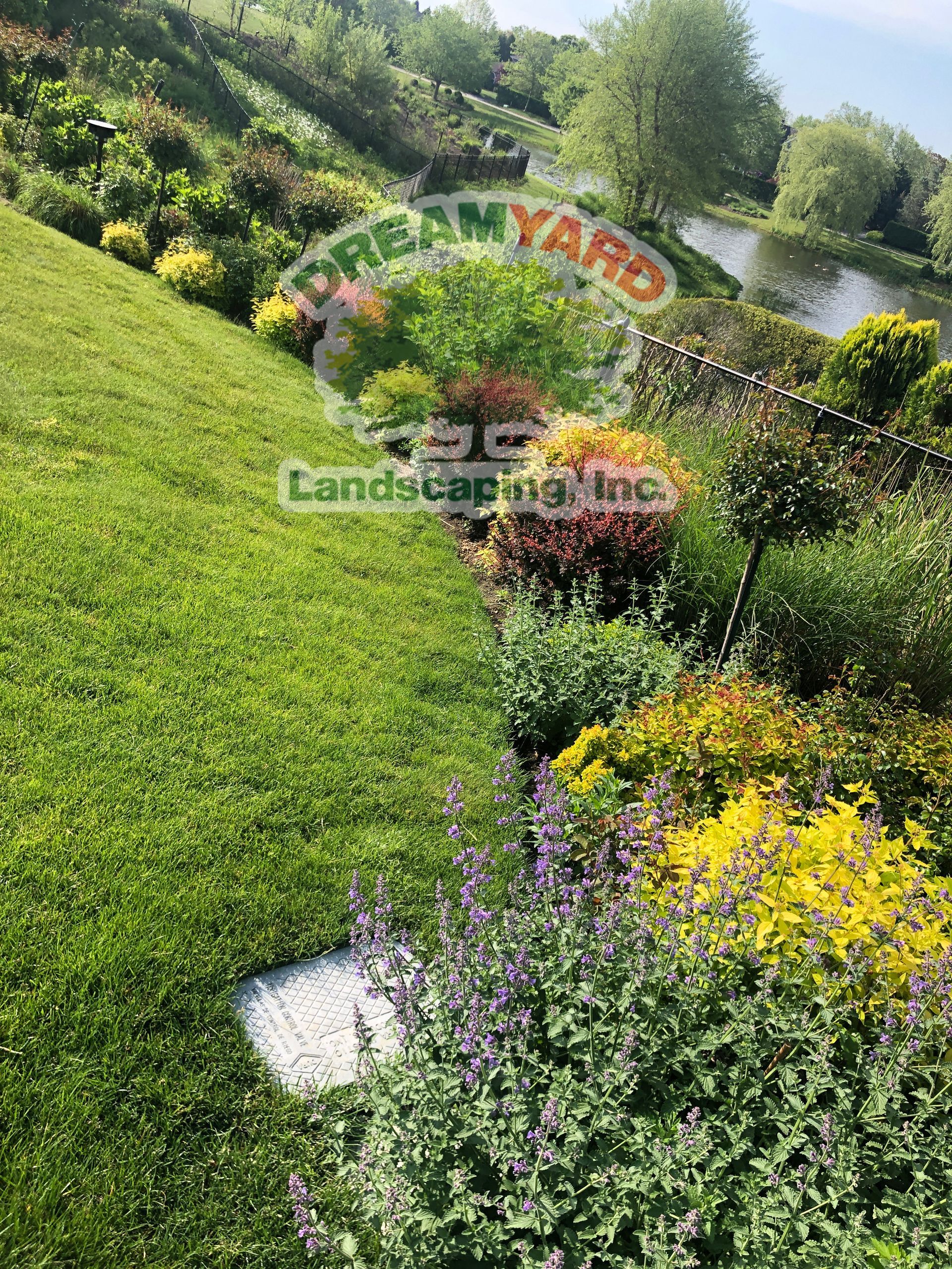 Green hillside with diverse plants and flowers, near a pond.