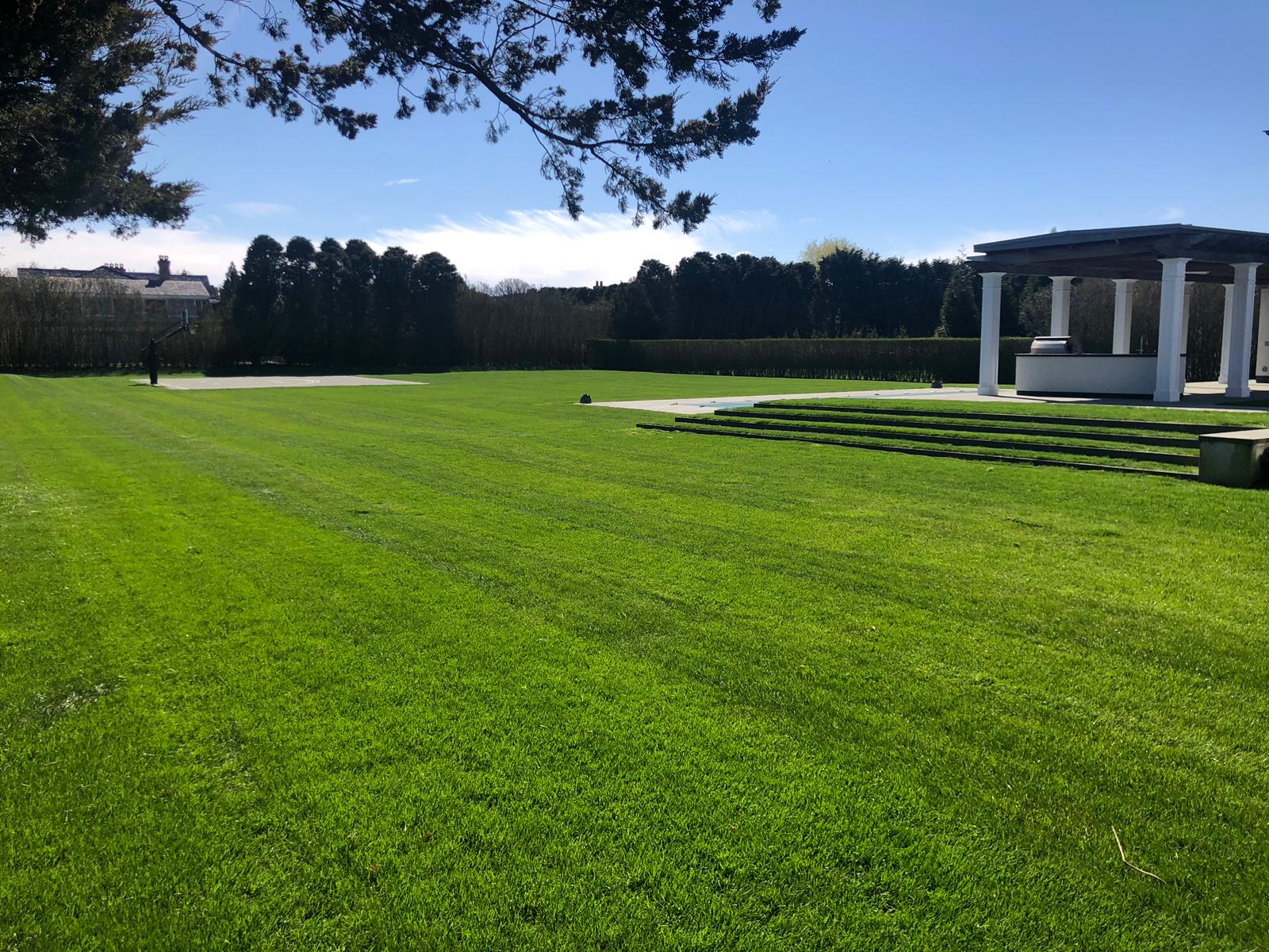 Lush green lawn with striped mowing lines, gazebo, and a row of evergreen trees. Sunny day.