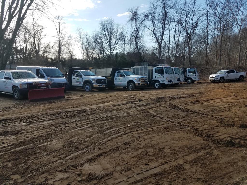 Several white work trucks parked on a muddy dirt lot on a sunny day.