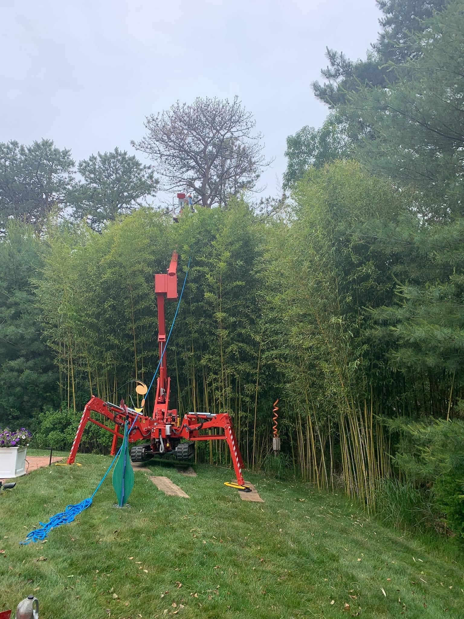 Red spider lift working among trees on a green lawn on an overcast day.