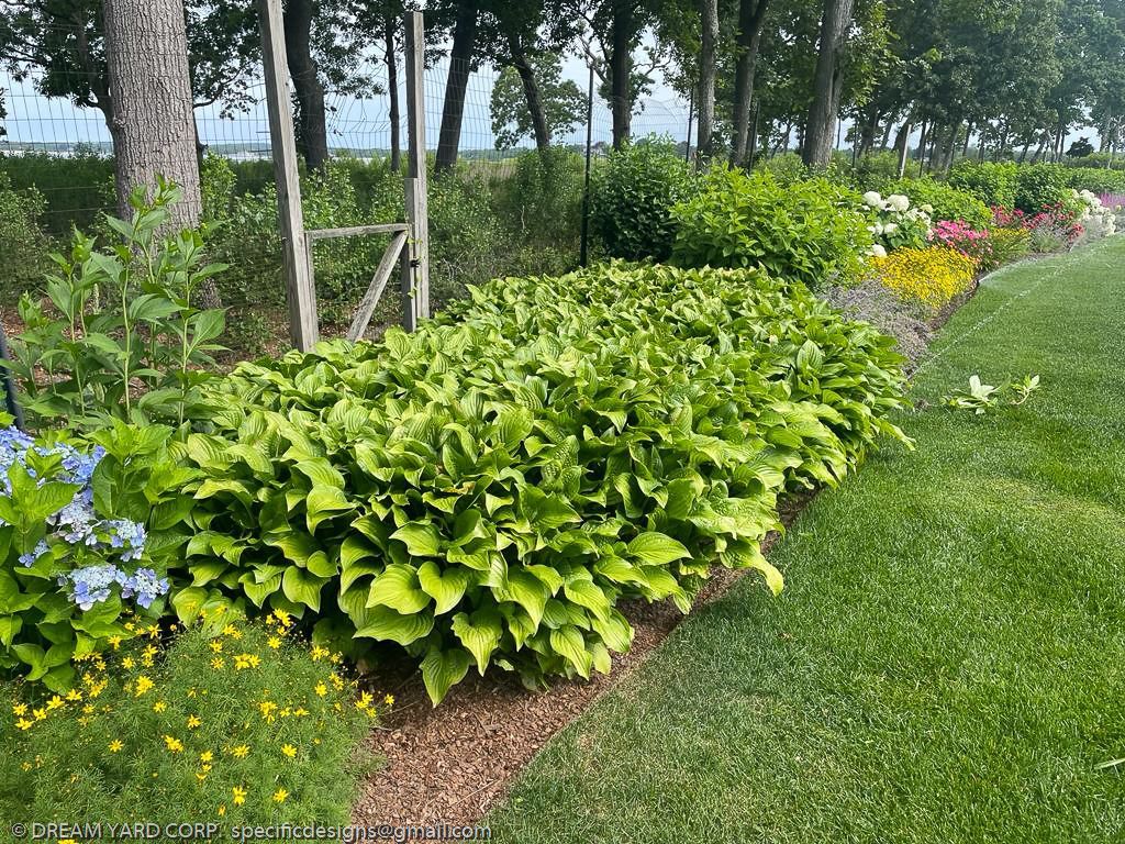 A lush garden bed overflowing with bright green plants, bordered by neat grass.