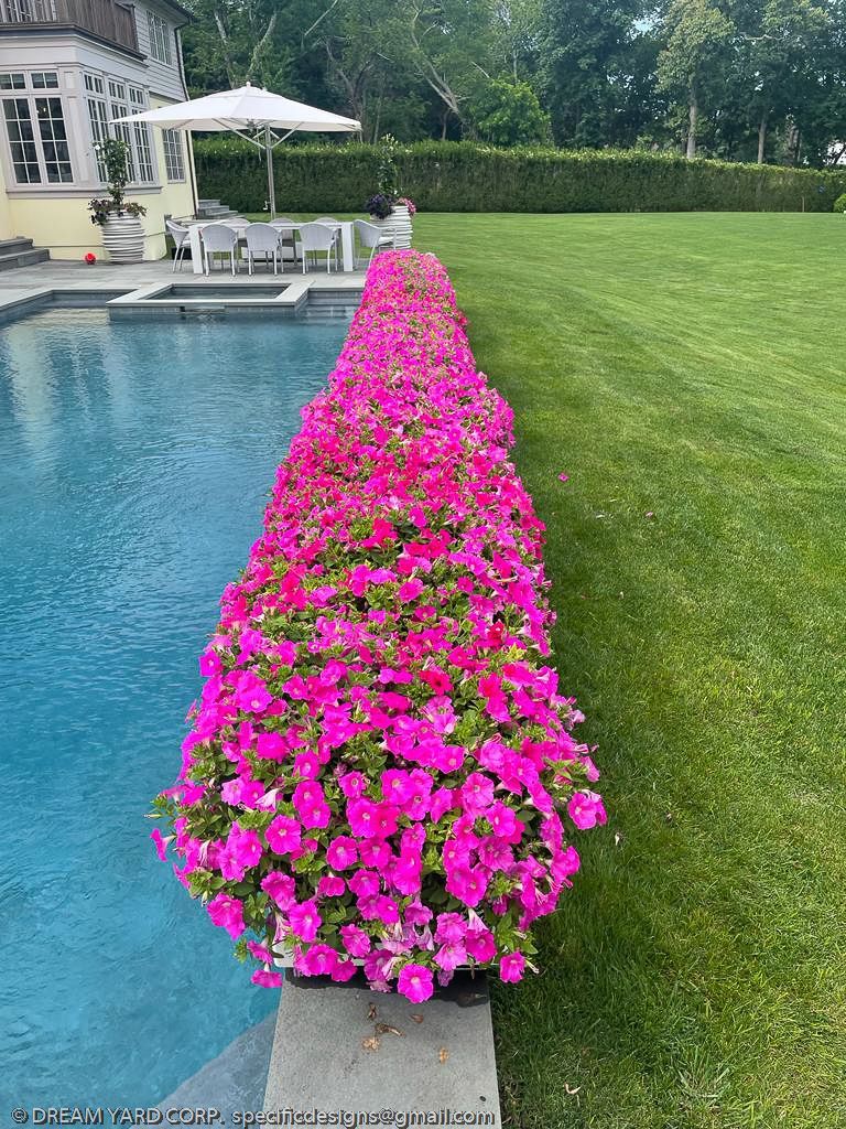 Pink petunias border a pool; lush green lawn, white patio furniture.