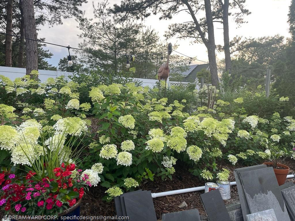 A garden with green and white hydrangeas, a red flower pot, and trees in the background.