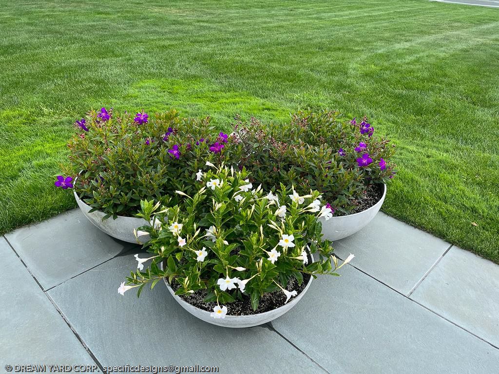 Three round white planters on blue stone patio. Two planters have purple flowers, one has white. Green grass background.