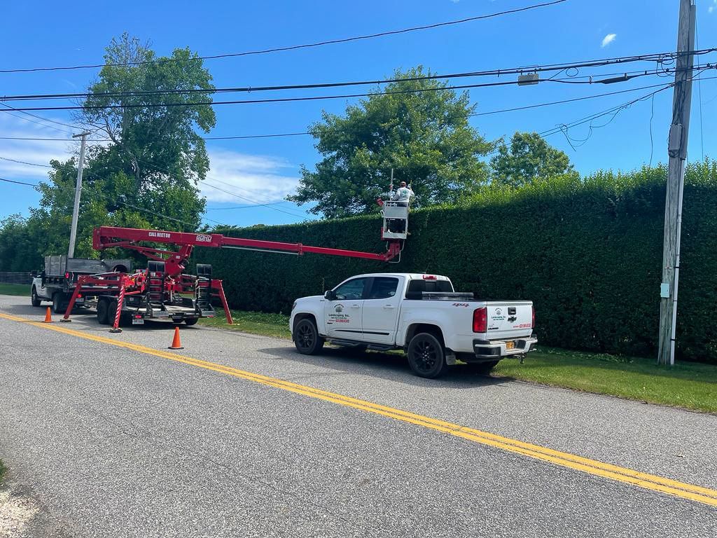 Trucks trimming a tall, green hedge near power lines on a sunny day.