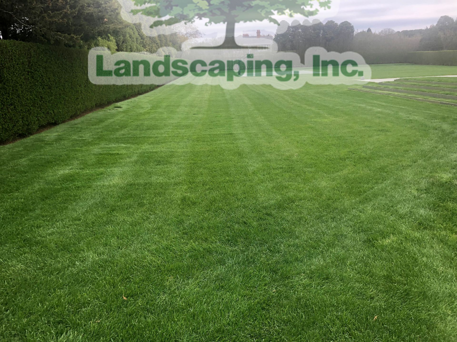 Green lawn with a hedge, and a company logo.