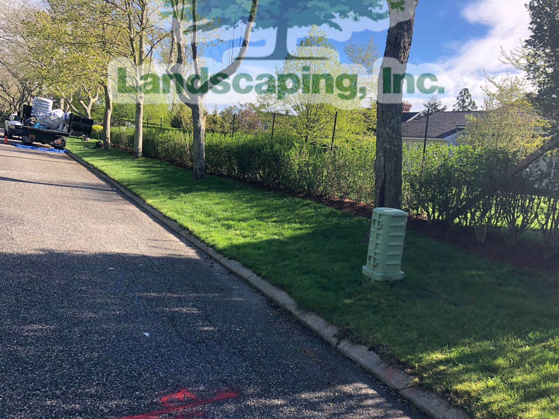 Green grass lawn bordering a paved road, lined with trees and a shrubbery hedge.