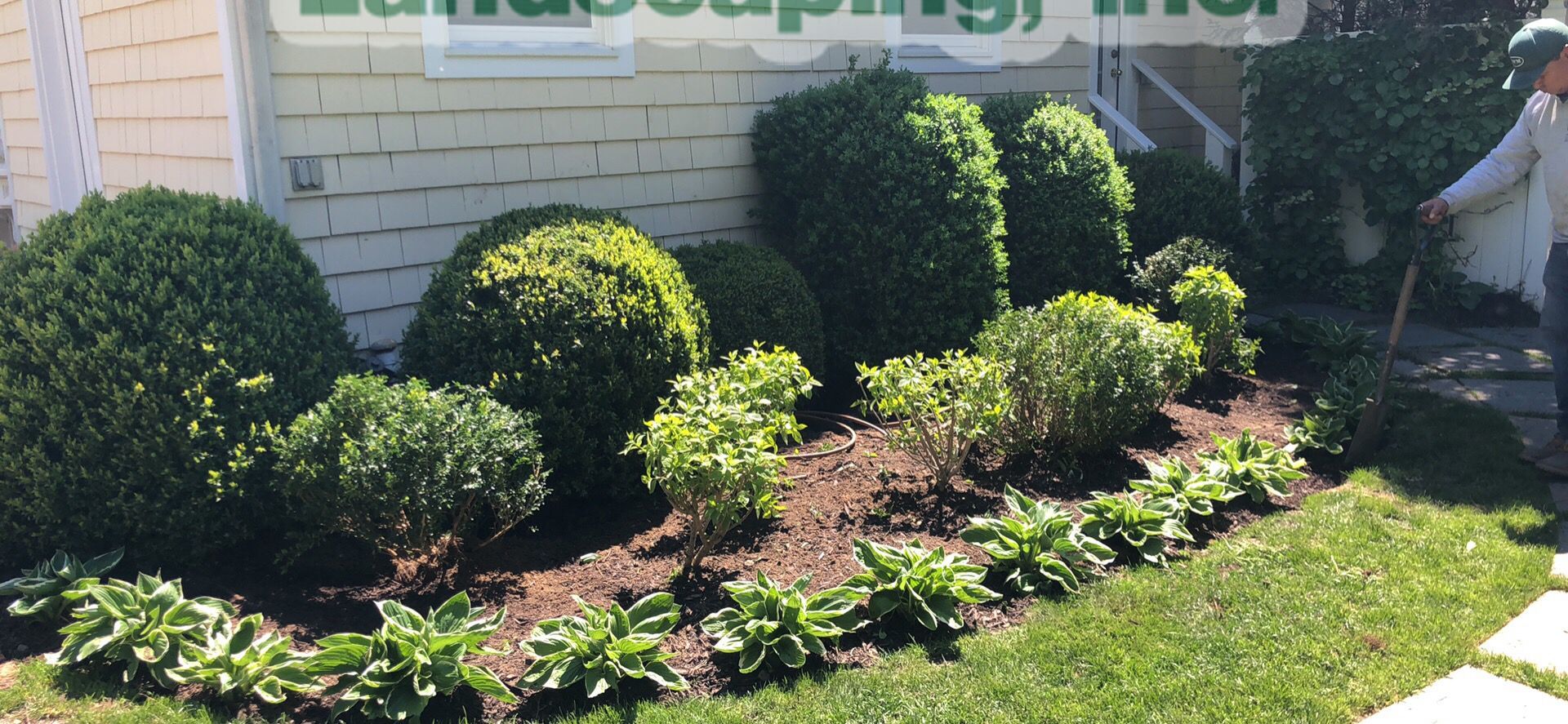 A person raking mulch near a landscaped garden with lush greenery, located by a white house.