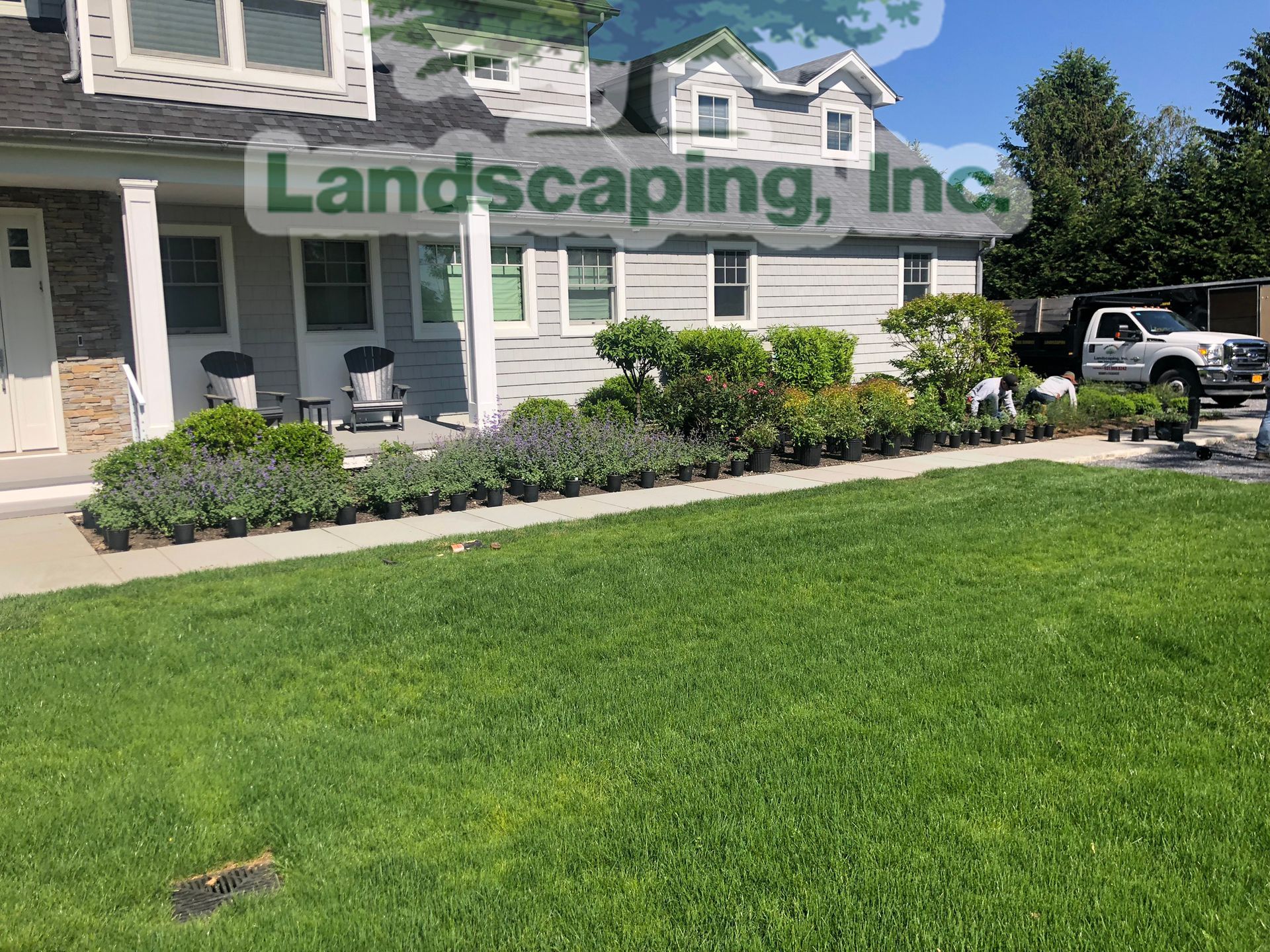 A row of potted plants in front of a house with a green lawn, landscaping in progress.