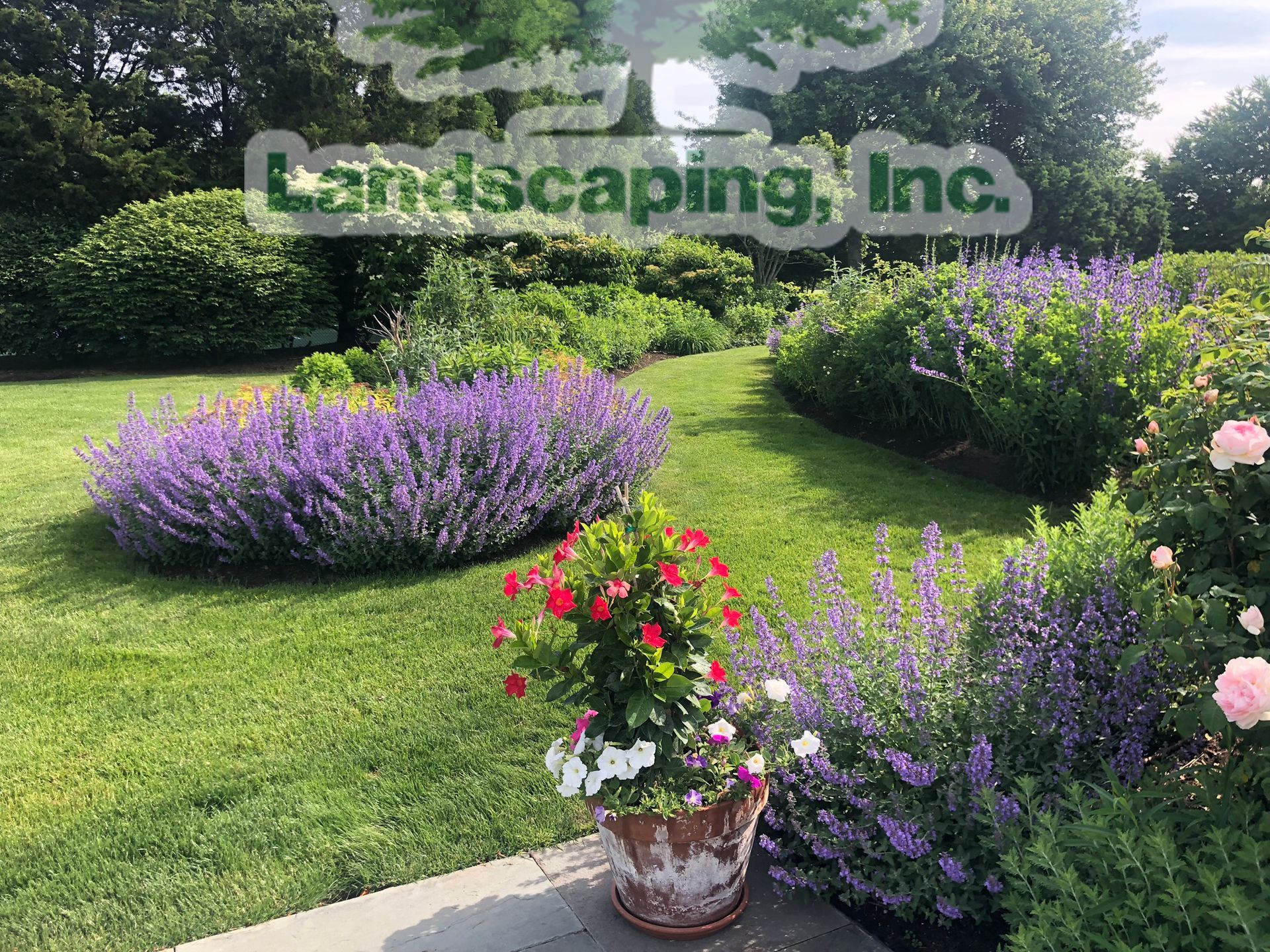 A landscaped garden with purple flowers, green shrubs, and a potted plant. 