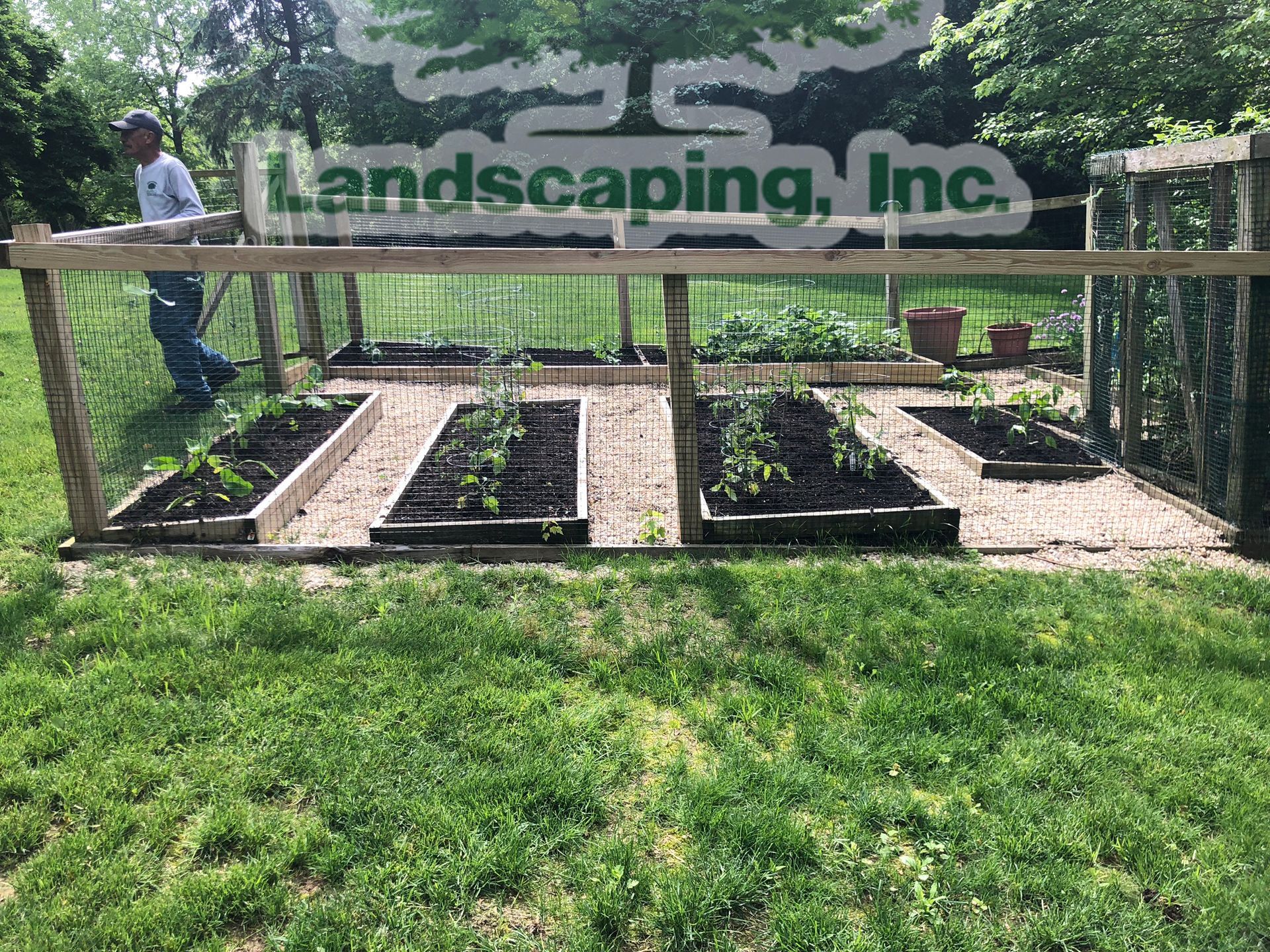 A fenced vegetable garden with raised beds, a person tending to it, and green grass.