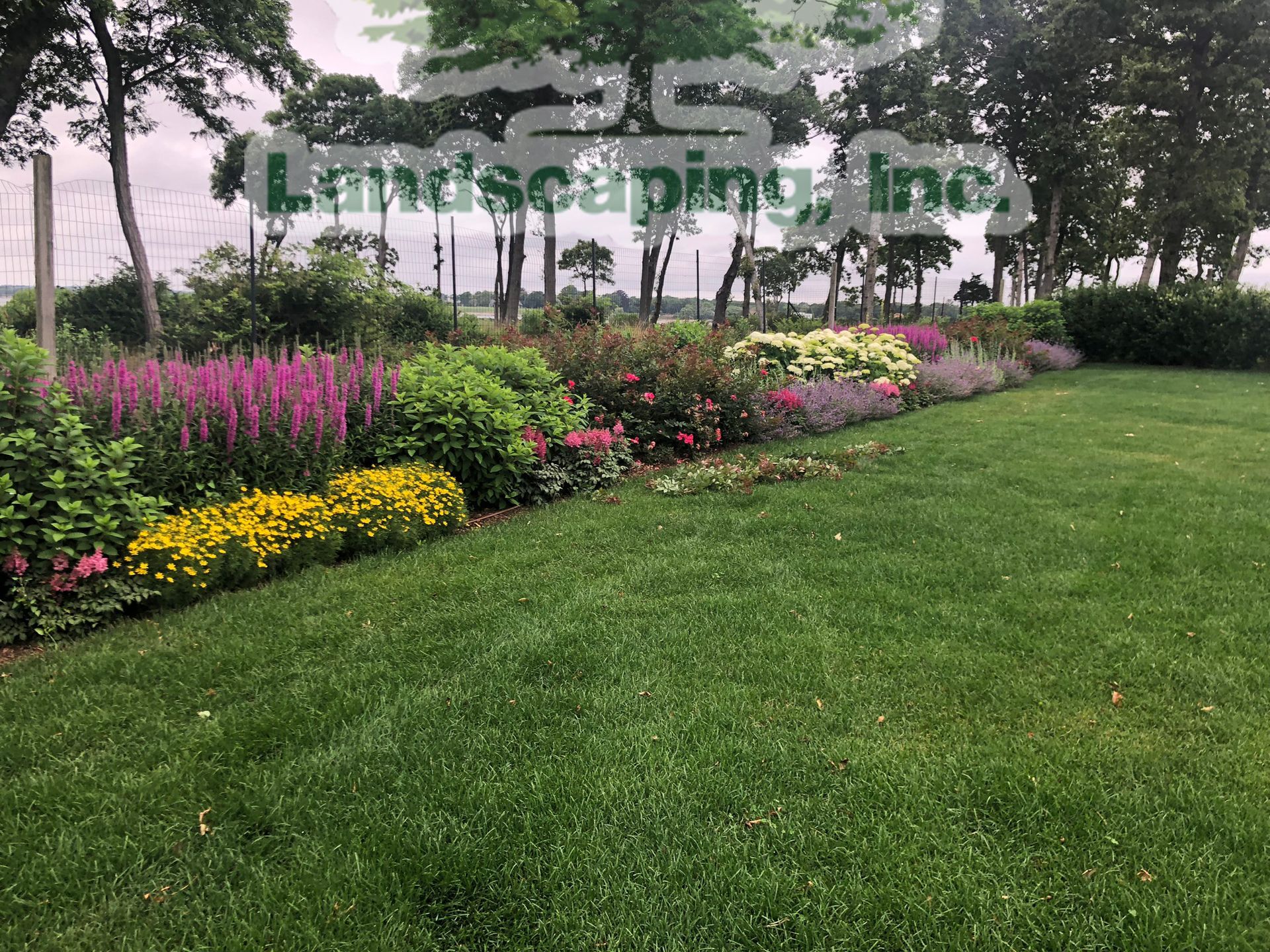 A vibrant flower bed with purple, yellow, and pink blooms, beside a lush green lawn.