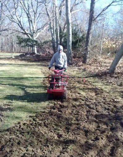 Man operating a red tiller in a grassy yard, tilling a strip of soil near trees.