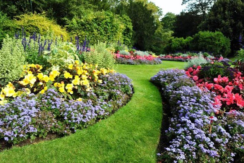 A lush garden path lined with colorful flowers in full bloom.