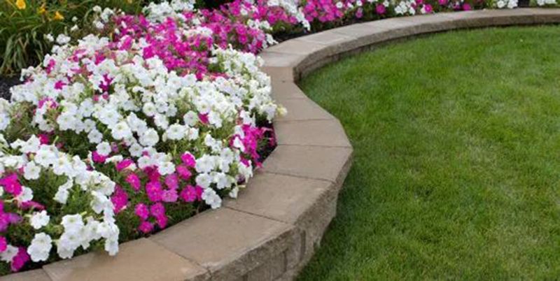 Flowers in a bed border a green lawn, with a curved retaining wall made of stone blocks.