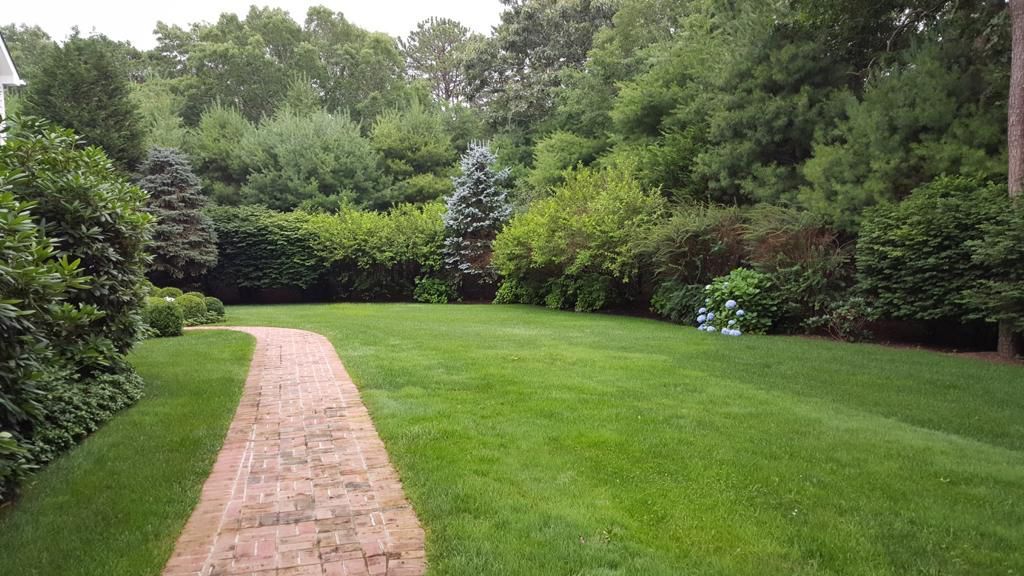 Brick path through a green lawn, surrounded by lush trees and shrubs.