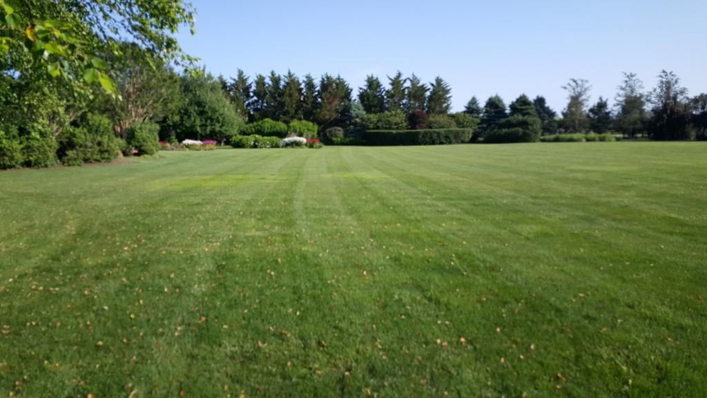 Large, green lawn under a blue sky. Trees and bushes frame the sides and back.
