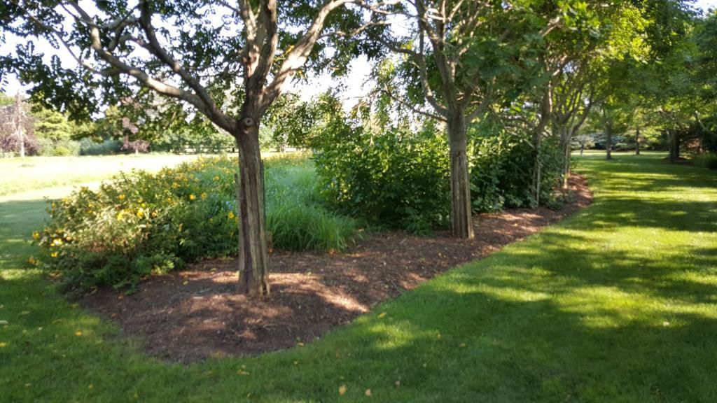 Trees with mulch beds line a grassy yard; a field is visible in the background.