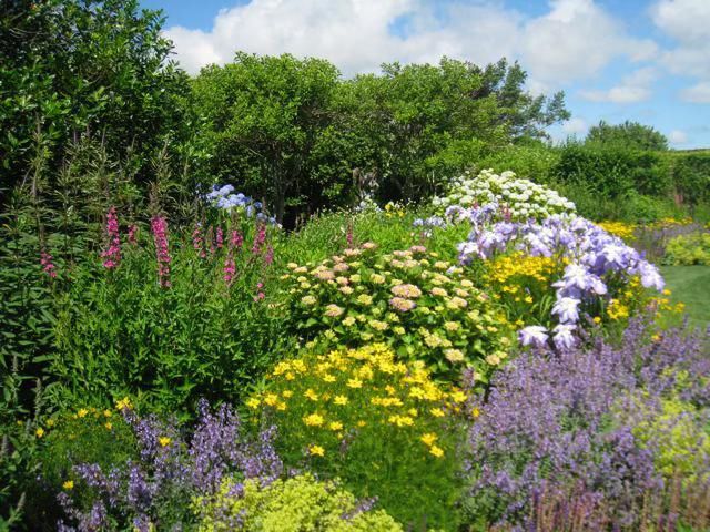 Colorful garden bed with various flowering plants, including yellow, purple, and white blooms under a blue sky.