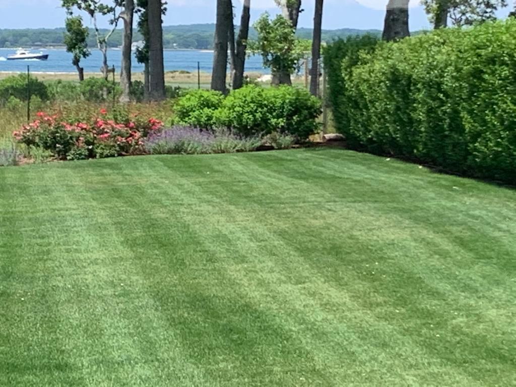 Lush green lawn with striped mowing pattern, flowers, and a water view, trees in the background.