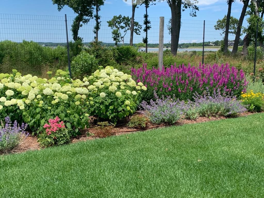 Lush garden bed with white and purple flowers, green grass, and a water view beyond a fence.