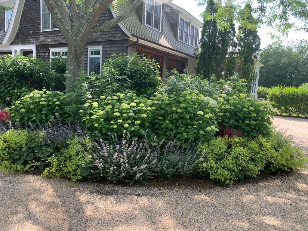 A lush garden bed with various green shrubs and flowering plants in front of a light-colored house with a shingled roof.