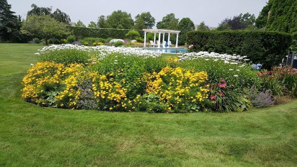 Circular flower bed with yellow and white flowers; gazebo and fountain in background.